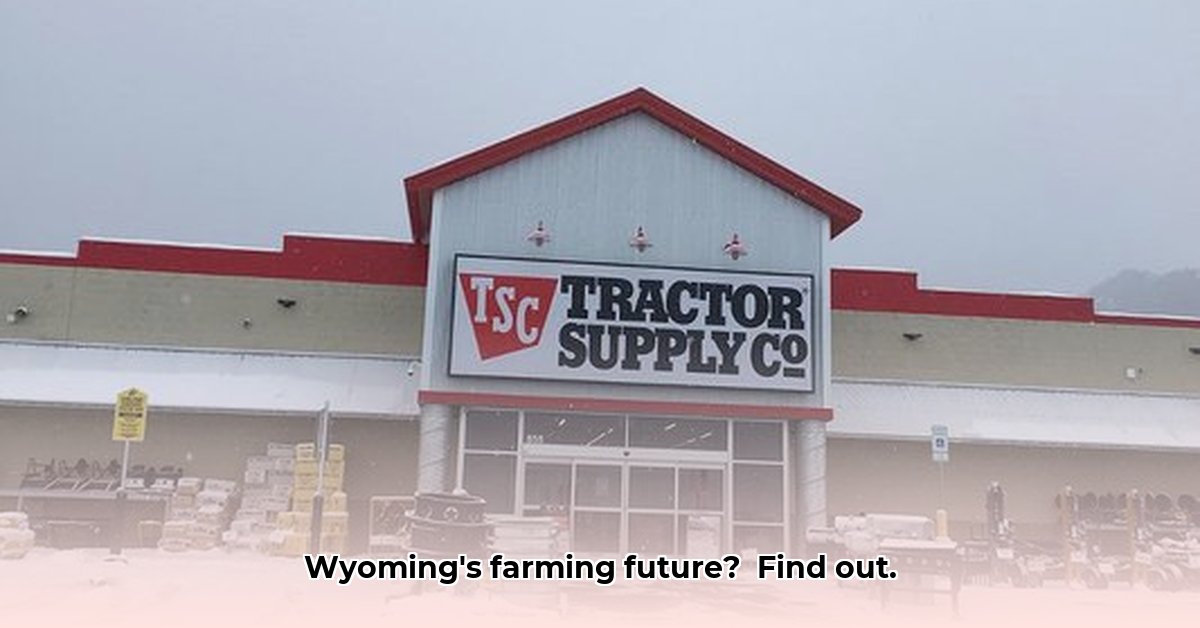 tractor-supply-afton